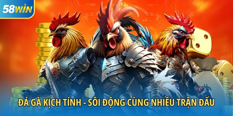 Đá gà kịch tính - Sôi động cùng nhiều trận đấu
